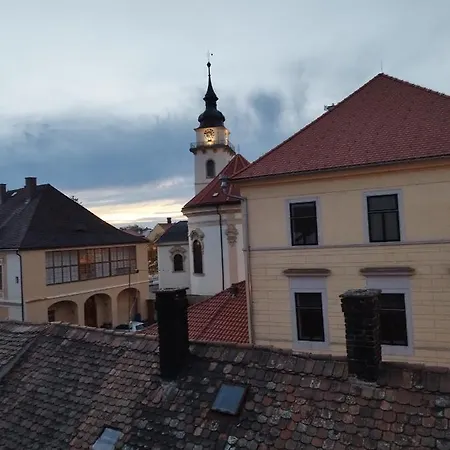 Apartman Horni Hermanuv Mestec U Chrudimi Exterior photo